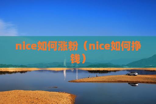 nice如何涨粉（nice如何挣钱）