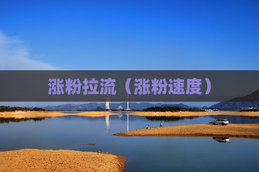 涨粉拉流（涨粉速度）