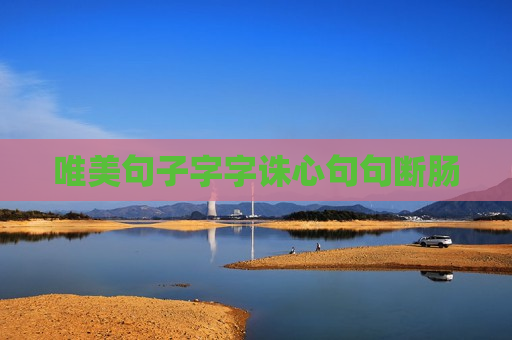 唯美句子字字诛心句句断肠