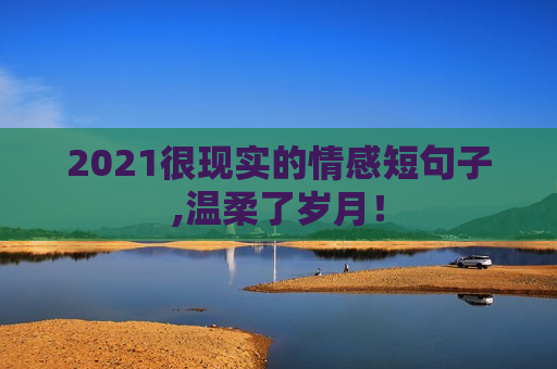 2021很现实的情感短句子,温柔了岁月！