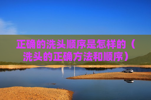 正确的洗头顺序是怎样的（洗头的正确方法和顺序）