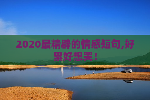 2020最精辟的情感短句,好累好想哭！