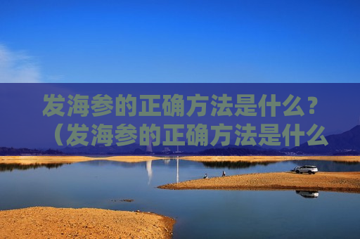 发海参的正确方法是什么？（发海参的正确方法是什么呢）