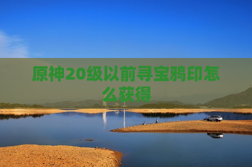 原神20级以前寻宝鸦印怎么获得