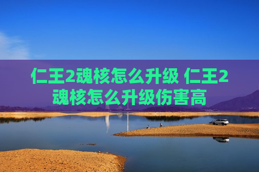 仁王2魂核怎么升级 仁王2魂核怎么升级伤害高