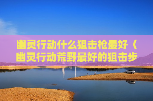 幽灵行动什么狙击枪最好（幽灵行动荒野最好的狙击步枪）