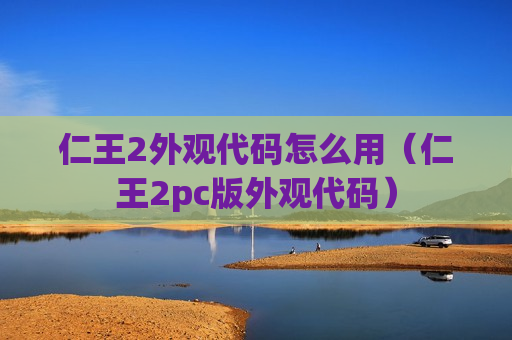 仁王2外观代码怎么用（仁王2pc版外观代码）