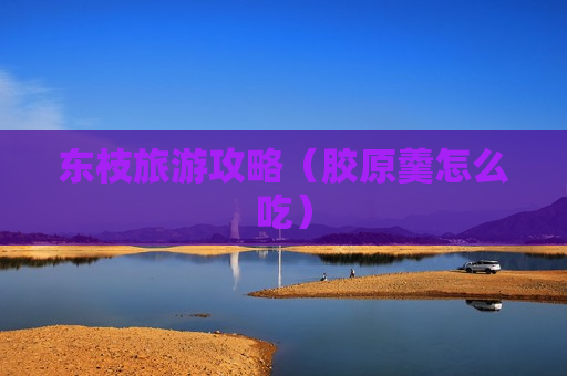 东枝旅游攻略（胶原羹怎么吃）