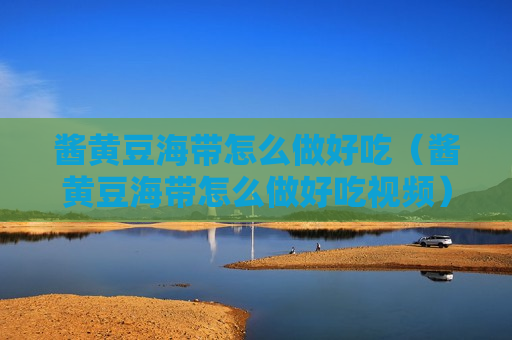 酱黄豆海带怎么做好吃（酱黄豆海带怎么做好吃视频）