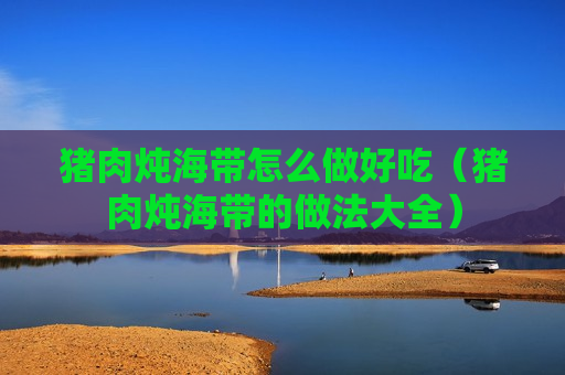 猪肉炖海带怎么做好吃（猪肉炖海带的做法大全）