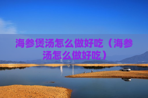 海参煲汤怎么做好吃（海参汤怎么做好吃）