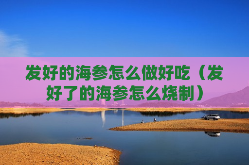 发好的海参怎么做好吃（发好了的海参怎么烧制）