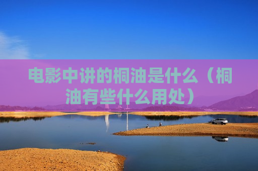 电影中讲的桐油是什么（桐油有些什么用处）