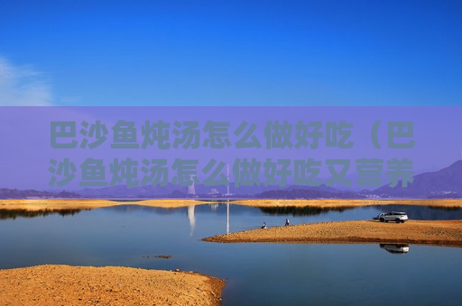 巴沙鱼炖汤怎么做好吃（巴沙鱼炖汤怎么做好吃又营养）