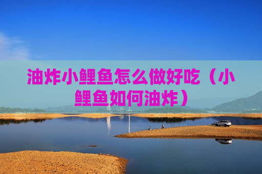 油炸小鲤鱼怎么做好吃（小鲤鱼如何油炸）