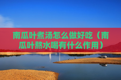 南瓜叶煮汤怎么做好吃（南瓜叶熬水喝有什么作用）