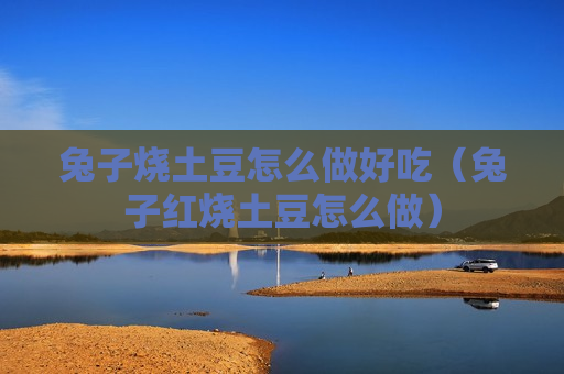 兔子烧土豆怎么做好吃（兔子红烧土豆怎么做）