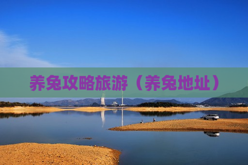 养兔攻略旅游（养兔地址）