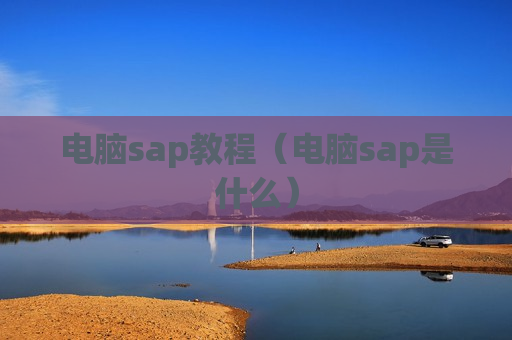 电脑sap教程（电脑sap是什么）