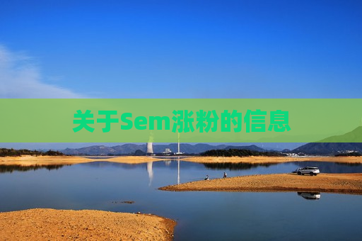 关于Sem涨粉的信息