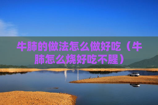 牛肺的做法怎么做好吃（牛肺怎么烧好吃不腥）