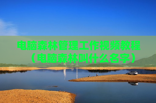 电脑森林管理工作视频教程（电脑森林叫什么名字）