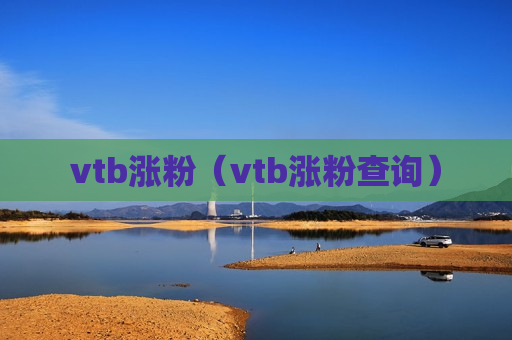 vtb涨粉（vtb涨粉查询）