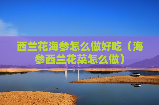 西兰花海参怎么做好吃（海参西兰花菜怎么做）