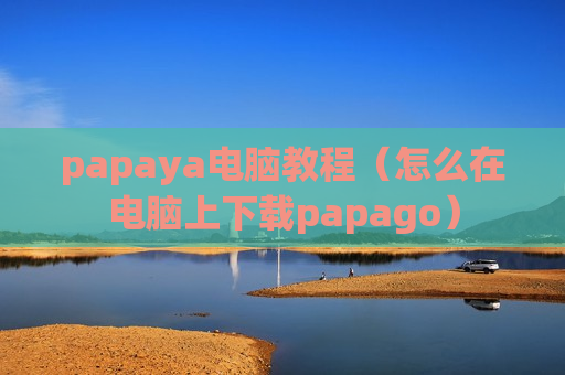 papaya电脑教程（怎么在电脑上下载papago）