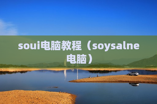 soui电脑教程（soysalne电脑）