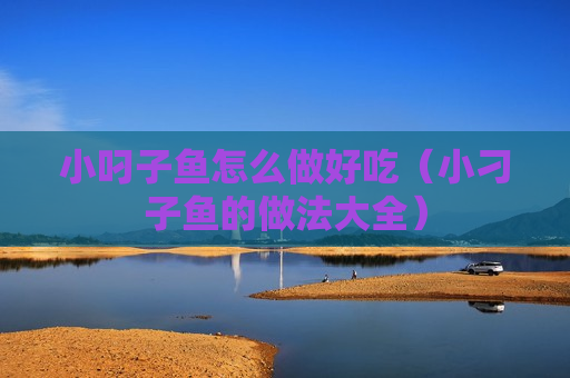 小叼子鱼怎么做好吃（小刁子鱼的做法大全）