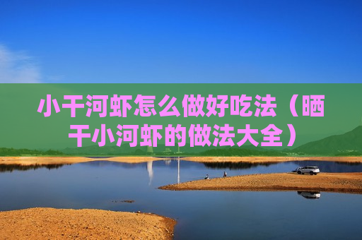 小干河虾怎么做好吃法（晒干小河虾的做法大全）