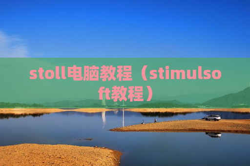 stoll电脑教程（stimulsoft教程）