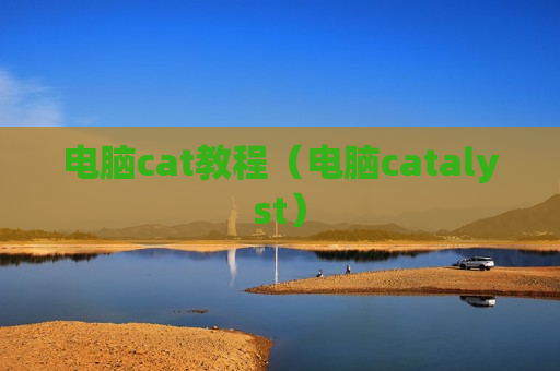 电脑cat教程（电脑catalyst）