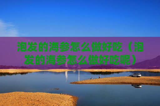 泡发的海参怎么做好吃（泡发的海参怎么做好吃呢）