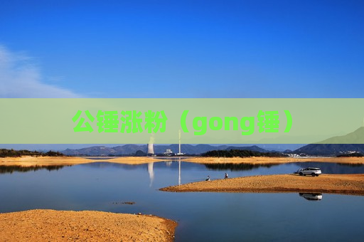 公锤涨粉（gong锤）