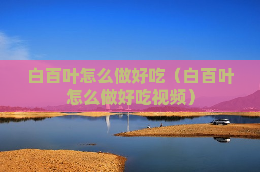 白百叶怎么做好吃（白百叶怎么做好吃视频）