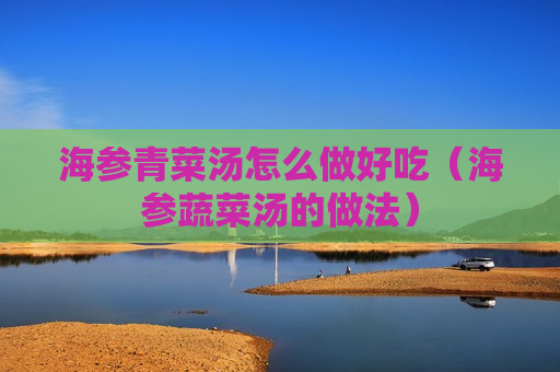 海参青菜汤怎么做好吃（海参蔬菜汤的做法）