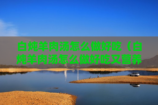 白炖羊肉汤怎么做好吃（白炖羊肉汤怎么做好吃又营养）