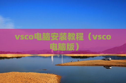 vsco电脑安装教程（vsco 电脑版）