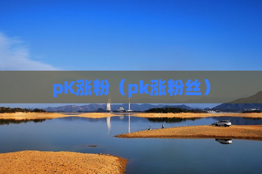 pK涨粉（pk涨粉丝）