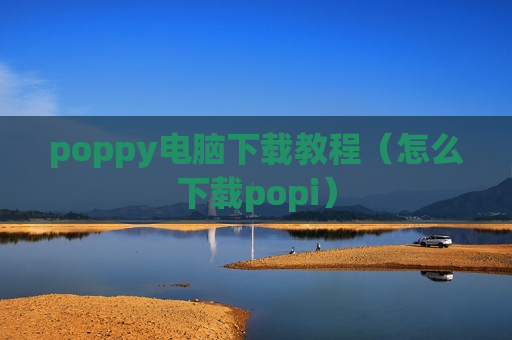 poppy电脑下载教程（怎么下载popi）