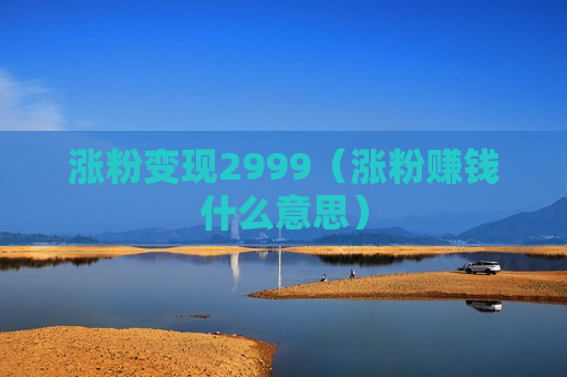 涨粉变现2999（涨粉赚钱什么意思）