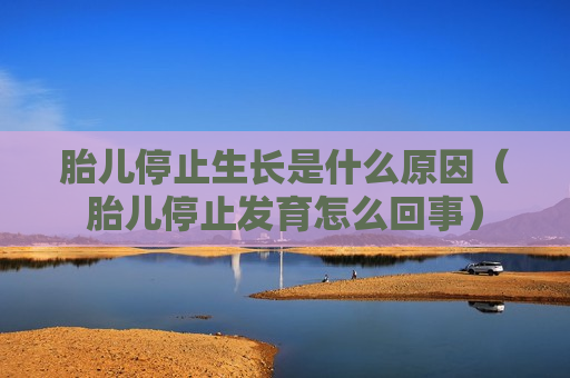 胎儿停止生长是什么原因（胎儿停止发育怎么回事）