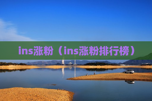 ins涨粉（ins涨粉排行榜）