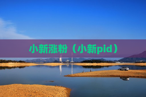 小新涨粉（小新pid）